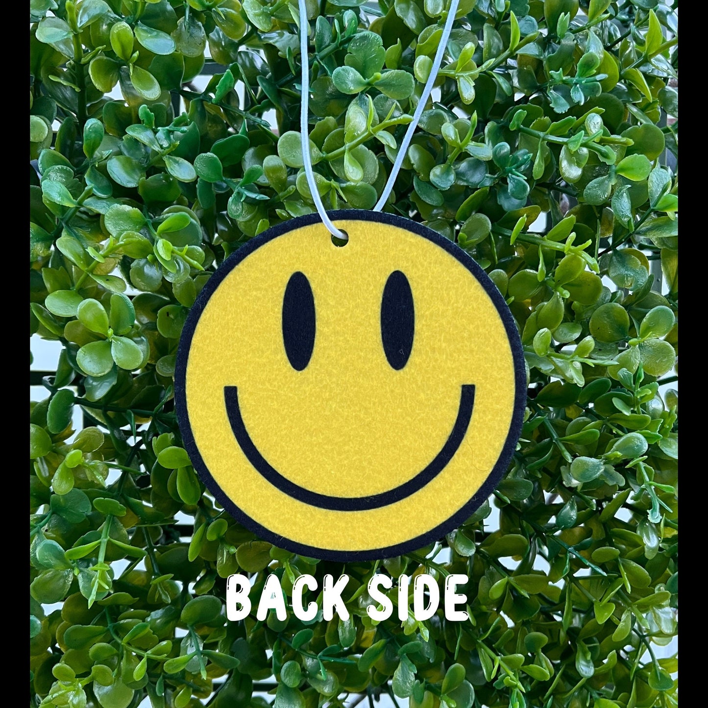 Drive Safe B!tch Car Air Freshener